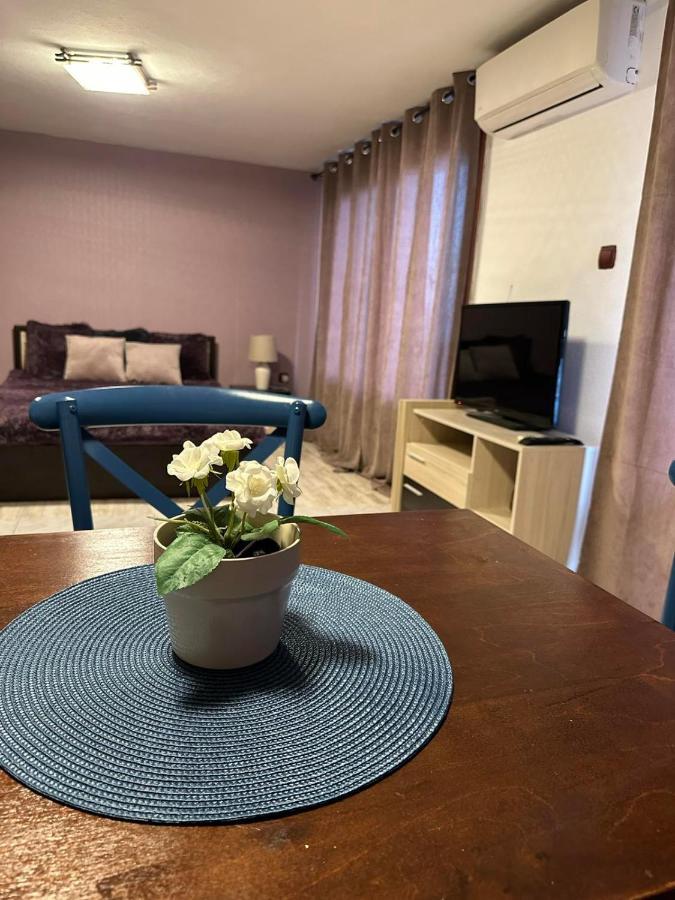 Вила Николета Hotell Sveti Vlas Eksteriør bilde